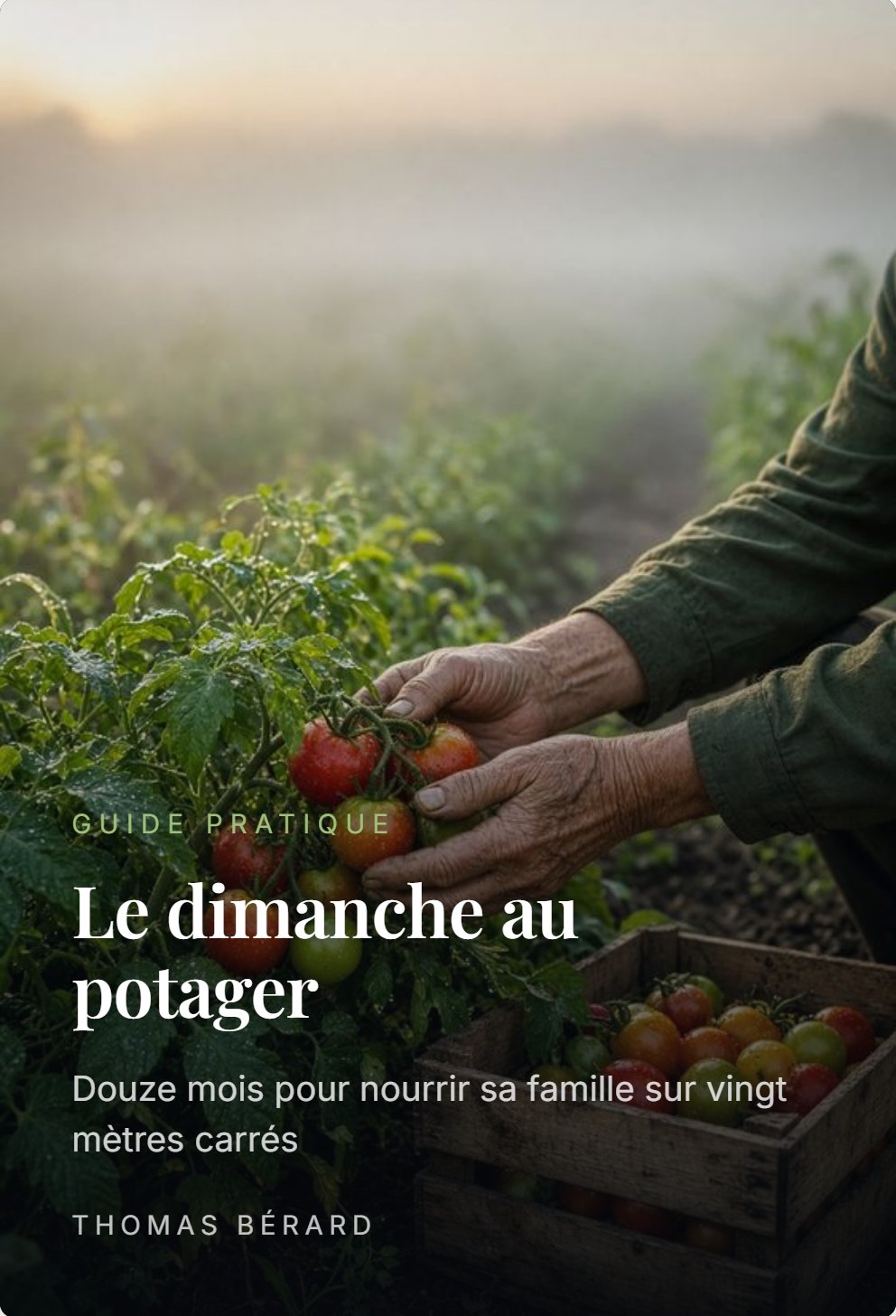 Le dimanche au potager